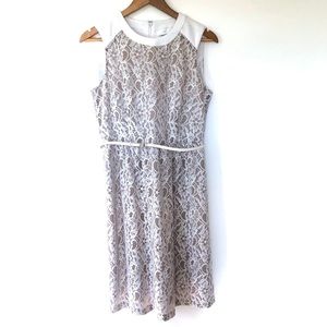 Calvin Klein Lace Cocktail Dress With Belt White